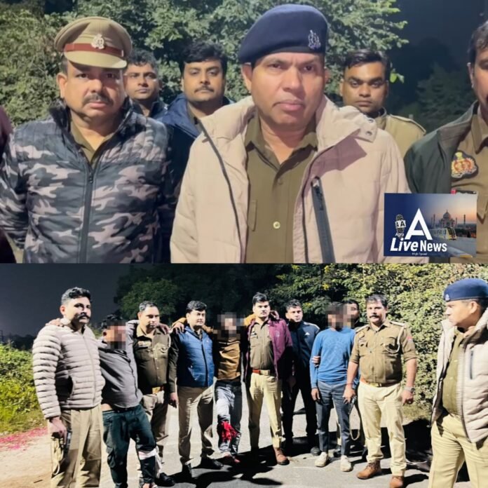 Polish_20251116_072905643