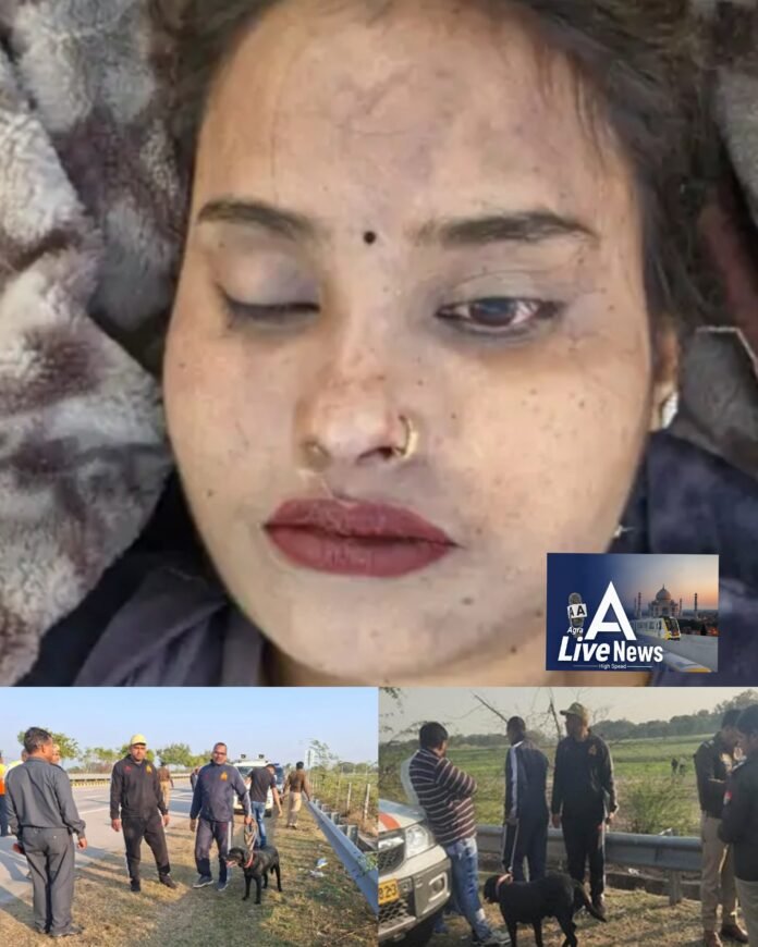 Polish_20260208_080340065